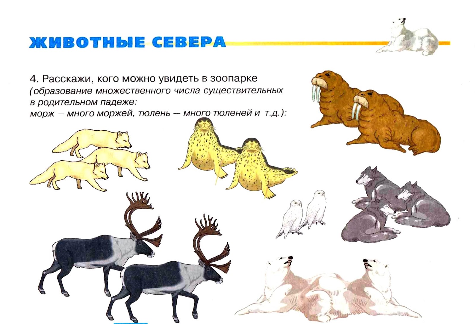 Животные севера задания для дошкольников